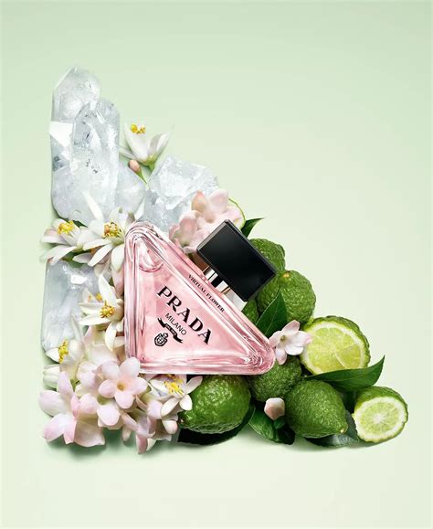 prada flower can|prada paradoxe fragrance.